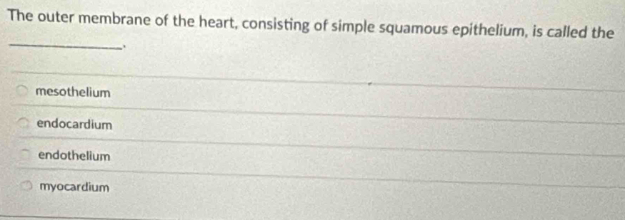 The outer membrane of the heart, consisting of simple squamous epithelium, is called the
_
mesothelium
endocardium
endothelium
myocardium