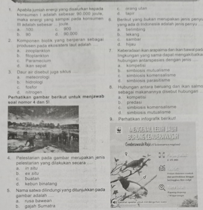 Apabila jumlah energi yang disalurkan kepada c. orang ulan
konsumen I adalah sebesar 90.000 joule. d. tapir
maka energi yang sampai pada konsumen 6. Berikut yang bukan merupakan jenis penyu
III adalah sebesar ... joule. yang ada di Indonesia adalah jenis penyu ...
a. 100 c. 900 a. belimbing
b. 90 d. 90.000 b. lekang
2. Komponen biotik yang berperan sebagai c. sambar
produsen pada ekosistem laut adalah .... d. hijau
a. zooplankton 7. Keberadaan ikan arapaima dan ikan bawal pad
b. fitoplankton lingkungan yang sama dapat mengakibatka
c. Paramecium hubungan antarspesies dengan jenis ....
d. ikan sepat a. kompetisi
3. Daur air disebut juga siklus …. b. simbiosis mutualisme
a. meteorologi c. simbiosis komensalisme
b. hidrologi d. simbiosis parasitisme
c. fosfor 8. Hubungan antara beruang dan ikan salmo
d. nitrogen sebagai makanannya disebut hubungan ..
Perhatikan gambar berikut untuk menjawab a. kompetisi
soal nomor 4 dan 5! b. predasi
c. simbiosis komensalisme
d. simbiosis mutualisme
9. Perhatikan infografik berikut!
MENGENAL LEBIH
BURUNG LEN
Cenderawasih Raja (Cicinnurua regina)
4. Pelestarian pada gambar merupakan jenis s i6 cm
pelestarian yang dilakukan secara ....
a. in situ
b. ex situ Hutan daturan rendak
c. buatan ketinggias 850 mdpl  dan perbokitas hingg
d. kebun binatang
o
5. Nama satwa dilindungi yang ditunjukkan pada Kepang-korping
gambar adalah .... / Waya-waya
a. rusa bawean Nyalakan speaker uncuk menden grian suara
b. gajah Sumatra