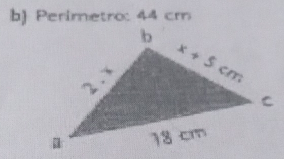 b Perimetro: 44 cm