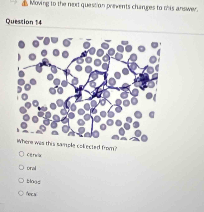 Moving to the next question prevents changes to this answer.
Question 14
Where was this sample collected from?
cervix
oral
blood
fecal