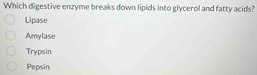 Which digestive enzyme breaks down lipids into glycerol and fatty acids?
Lipase
Amylase
Trypsin
Pepsin