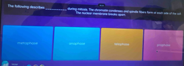 The following describes_ during mitosis. The chromatin condenses and spindle fibers form at each side of the cell
The nuclear membrane breaks apart.
metaphase anaphase telophase prophase