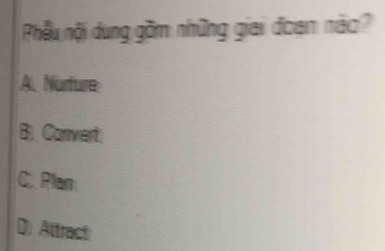 Phẫu nội dung gồm những giai đoạn nào?
A.Nurture
B. Convert
C. Plam
D.Attract