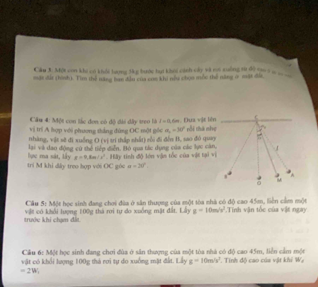 Cầu 3: Một con khi có khổi lượng 5kg bước hụt khoi cảnh cây và rơi guồng từ độ càu 5 m s n 
mật đất (hình). Tìm thể năng ban đầu của con khi nều chọn mốc thể năng ở mặt đĩa 
Câu 4: Một con lắc đơn có độ dài dây treo là I=0.6m. Đưa vật lên C 
vị trí A hợp với phương thắng đứng OC một góc a_n=30° rồi thà nhẹ 
nhàng, vật sẽ đi xuống O (vị trí thấp nhất) rồi đi đến B, sao đó quay 
lại và dao động cử thể tiếp diễn. Bỏ qua tác dụng của các lực cản, 
lực ma sát, lấy g=9, 8m/s^2. Hãy tính độ lớn vận tốc của vật tại vị 
trí M khi dây treo hợp với OC góc alpha =20°. 
B
A
。 M
Câu 5: Một học sinh đang chơi đùa ở sân thượng của một tòa nhà có độ cao 45m, , liền cầm một 
vật có khối lượng 100g thả rơi tự do xuống mặt đất. Lấy g=10m/s^2 Tính vận tốc của vật ngay 
trước khi chạm đất. 
Cầu 6: Một học sinh đang chơi đùa ở sân thượng của một tòa nhà có độ cao 45m, liền cầm một 
vật có khối lượng 100g thả rơi tự do xuống mặt đất. Lấy g=10m/s^2. Tính độ cao của vật khi W_d
=2W_1