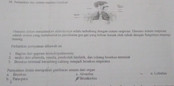 Perhatikan alur sistem respirasi berikut!
Manusia dalam menjalankan aktivitasuya selalu terhubung dengan sistem respirasi. Dimana sistem respirasi
adalah sistem yang melaksanakan pertukaran gas gas yang keluar masuk oleh tubuh dengan fungsinya masing-
masing.
Perhatikan pernyataan dibawah ini
1. Bagian dari segmen bronchopulmonary
2. terdiri dari añteriola, venula, pembuluh limfatik, dan cabang bronkus terminal
3. Bronkus terminal bercabang-cabang menjadi bronkus respirator
Pernyataan diatas merupakan gambaran umum dari organ
a. Bronkus c. Alveolus e. Lobulus
b. Paru-paru d Bronkiolus