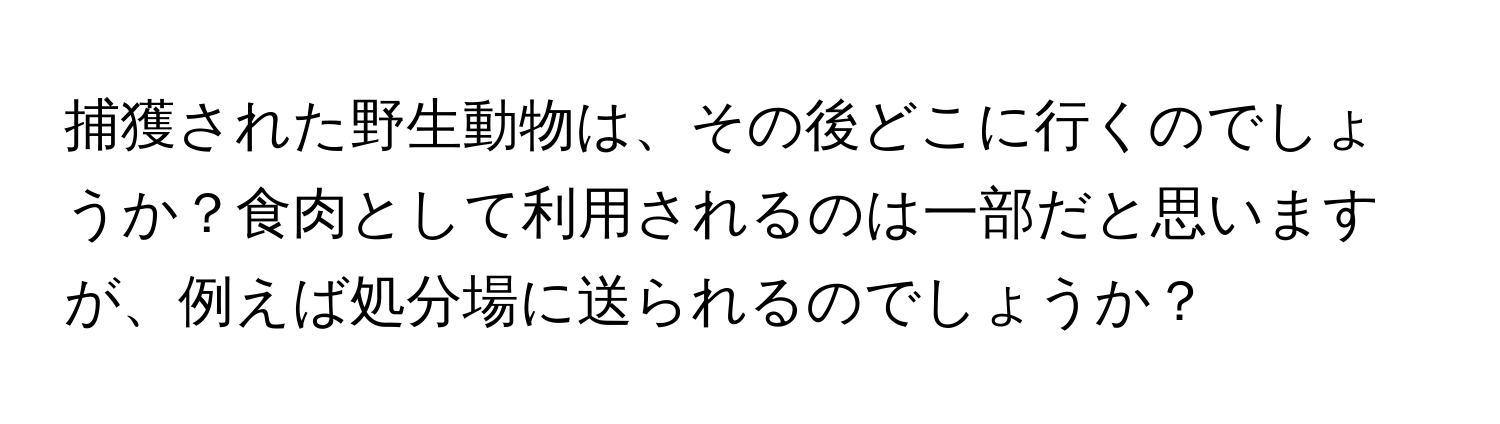 捕獲された野生動物は、その後どこに行くのでしょうか？食肉として利用されるのは一部だと思いますが、例えば処分場に送られるのでしょうか？