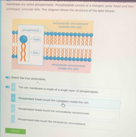 membrane are called phospholipids. Phospholipids consist of a charged, polar head and two
uncharged, nonpolar tails. This diagram shows the structure of the lipid bilayer.
Select the true statements.
( The cell membrane is made of a single layer of phospholipids.
Phospholipid heads touch the cytoplasm inside the cell.
Phospholipid heads touch the extracellular environment.
Phospholipid tails touch the intracellular environment.
Submit