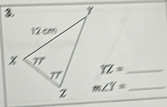 overline YL=
m∠ Y= _