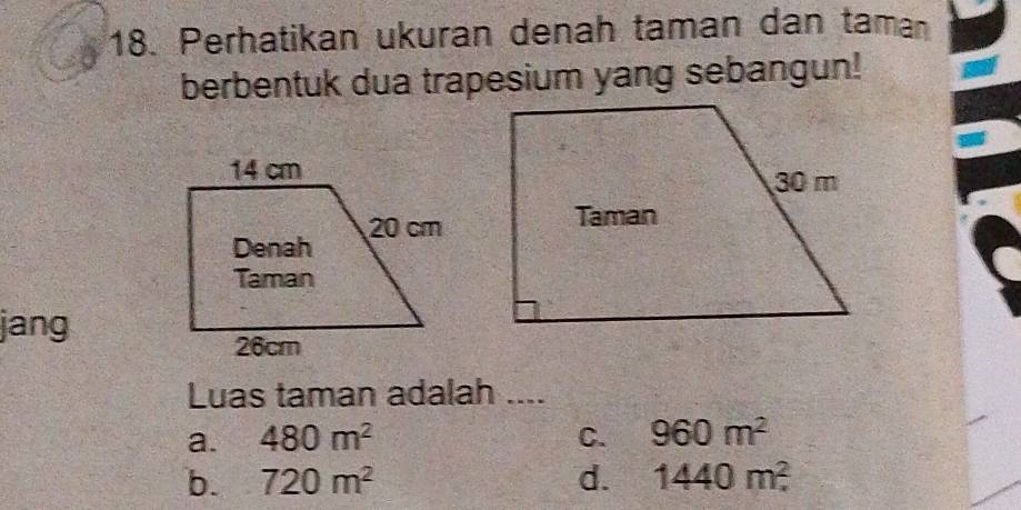 Perhatikan ukuran denah taman dan taman
berbentuk dua trapesium yang sebangun!
jang
Luas taman adalah ....
a. 480m^2 C. 960m^2
b. 720m^2 d. 1440m^2.