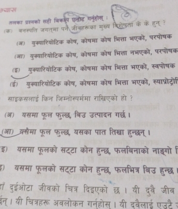 ऊ यास
तलका प्रश्नको सही विकस्प 
(क) वनस्पति जगत्मा प॰
(ऑ) युक्यारियोटिक व
(आ) युक्यारियोटिक7 ओषक
(इ) युक्यारियोटि
a
ई) युक्यारियोटिक
साइकसलाई किन
(3)