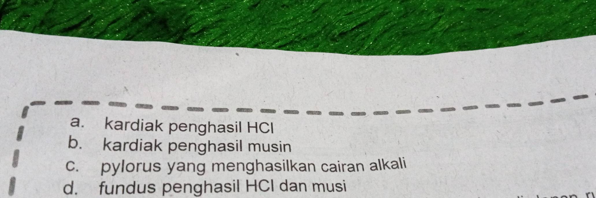 a. kardiak penghasil HCl
b. kardiak penghasil musin
c. pylorus yang menghasilkan cairan alkali
d. fundus penghasil HCI dan musi