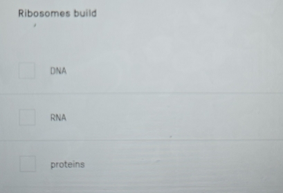 Ribosomes build 
DNA 
RNA 
proteins