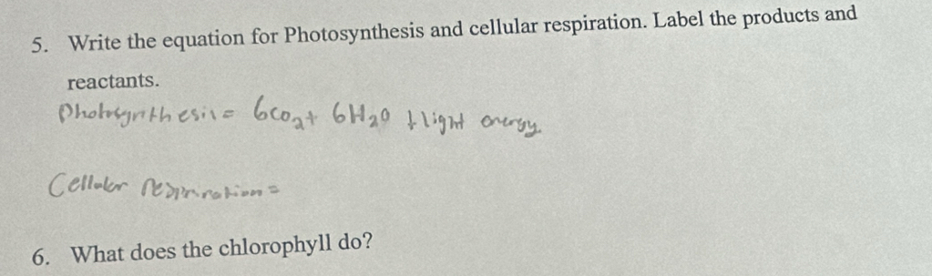 Write the equation for Photosynthesis and cellular respiration. Label the products and 
reactants. 
6. What does the chlorophyll do?