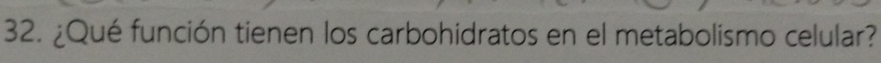 ¿Qué función tienen los carbohidratos en el metabolismo celular?