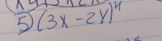 5 (3x-2y)^4