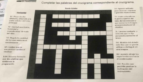 Completar las palabras del crucigrama correspondiente al crucigrama. 
AD Aparato utilizado 
a observar muestras randes resoluciones. 
Horizo 
MA IC- Pieza círcu 1 ente colocado en 
_ 
giratoría, adapparte superior del 
principal parte inferior d 
e aumenta la imagen o del microscopio y 
funcional y AC- Unirladanjetivo oporcionada por el 
ser vivo reproductora de- Lámina cuadrada o 
donda que se fija 
5D- Regula la canbrazo rpendicularmente al 
condensador de luz que entra e 
ás fino que se puede H Medida del detalle 
8A- Lentes que sena imagen tilizar o distinguir en 
revolver encuentran unidos 
11H- Sistema formaD permite dirigir los 
por dos platinas queayos luminosos hacia l condensador 
sostienen la 
preparación10J- Porción que permite graduar la 
inclinación del 
instrumento