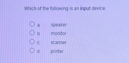 Which of the following is an input device.
a speaker
b monitor
C scanner
d printer