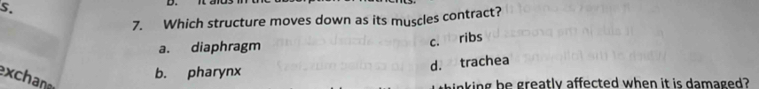 Which structure moves down as its muscles contract?
a. diaphragm
c. ribs
d. trachea
exchane
b. pharynx
thinking be greatly affected when it is damaged?