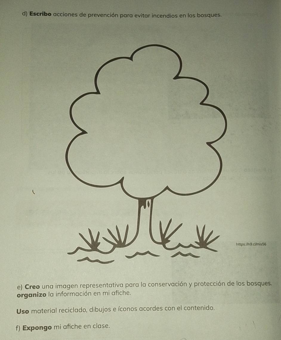 Escribo acciones de prevención para evitar incendios en los bosques. 
https://n9.cl/mis56 
e) Creo una imagen representativa para la conservación y protección de los bosques. 
organizo la información en mi afiche. 
Uso material reciclado, dibujos e íconos acordes con el contenido. 
f) Expongo mi afiche en clase.