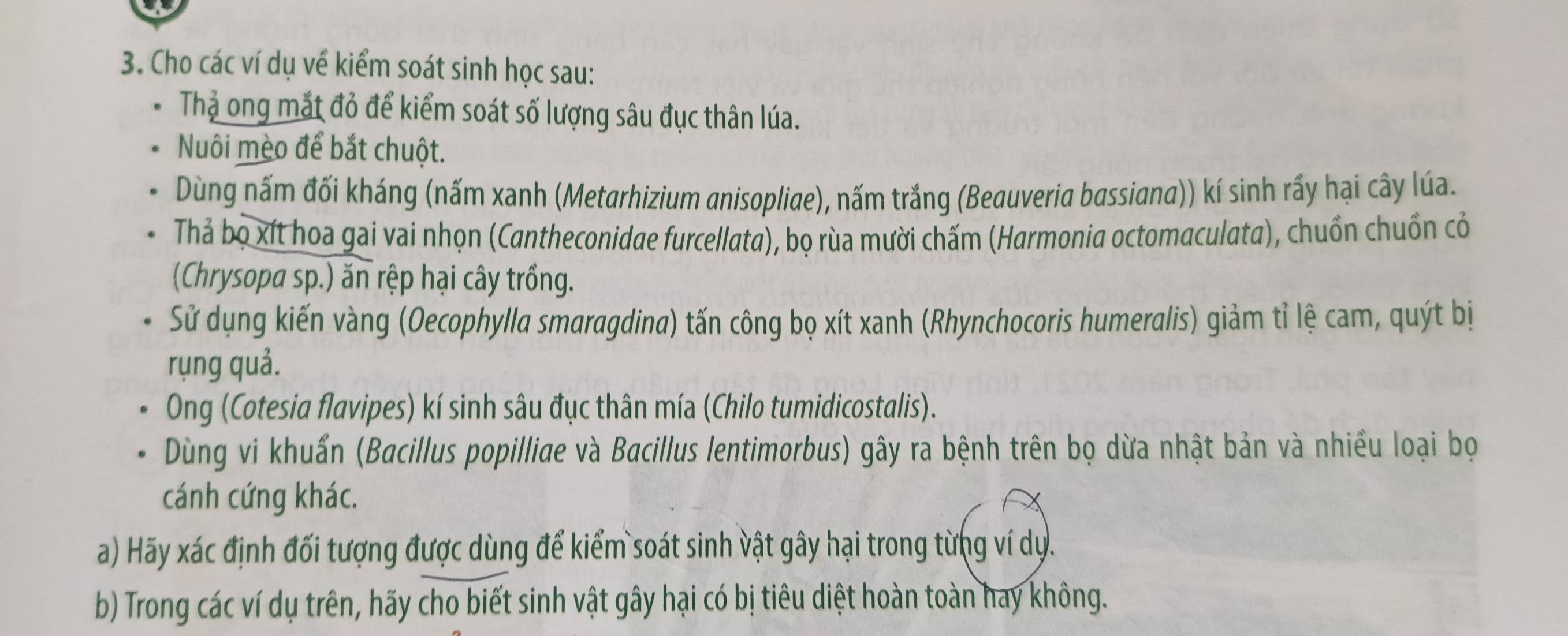 Cho các ví dụ về kiểm soát sinh học sau: 
Thả ong mắt đỏ để kiểm soát số lượng sâu đục thân lúa. 
Nuôi mèo để bắt chuột. 
Dùng nấm đối kháng (nấm xanh (Metarhizium anisopliae), nấm trắng (Beauveria bassiana)) kí sinh rấy hại cây lúa. 
Thả bọ xít hoa gai vai nhọn (Cantheconidae furcellata), bọ rùa mười chấm (Harmonia octomaculata), chuồn chuồn cỏ 
(Chrysopa sp.) ăn rệp hại cây trồng. 
Sử dụng kiến vàng (Oecophylla smaragdina) tấn công bọ xít xanh (Rhynchocoris humeralis) giảm tỉ lệ cam, quýt bị 
rụng quả. 
Ong (Cotesia flavipes) kí sinh sâu đục thân mía (Chilo tumidicostalis). 
Dùng vi khuẩn (Bacillus popilliae và Bacillus lentimorbus) gây ra bệnh trên bọ dừa nhật bản và nhiều loại bọ 
cánh cứng khác. 
a) Hãy xác định đối tượng được dùng để kiểm soát sinh vật gây hại trong từng ví dụ. 
b) Trong các ví dụ trên, hãy cho biết sinh vật gây hại có bị tiêu diệt hoàn toàn hay không.