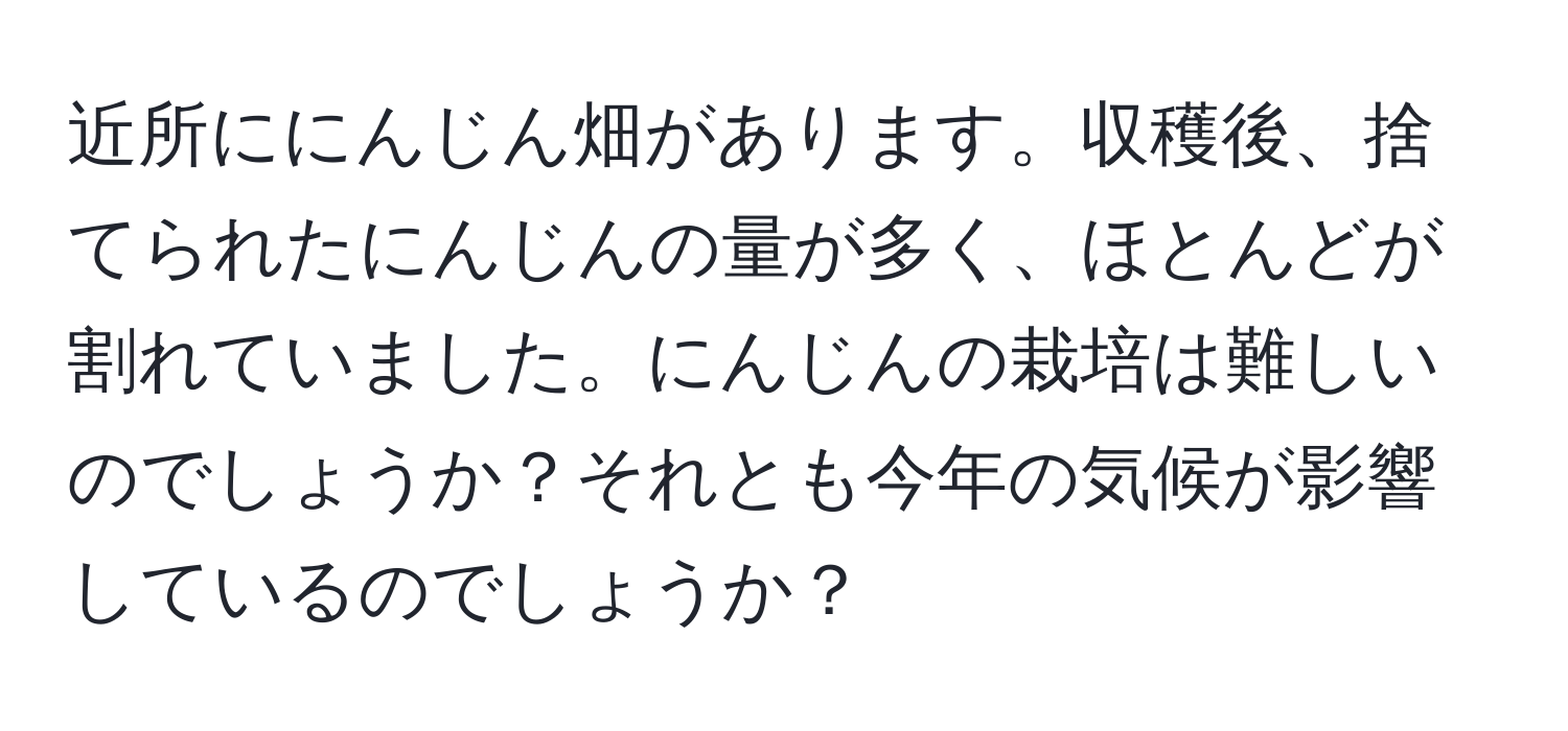 近所ににんじん畑があります。収穫後、捨てられたにんじんの量が多く、ほとんどが割れていました。にんじんの栽培は難しいのでしょうか？それとも今年の気候が影響しているのでしょうか？