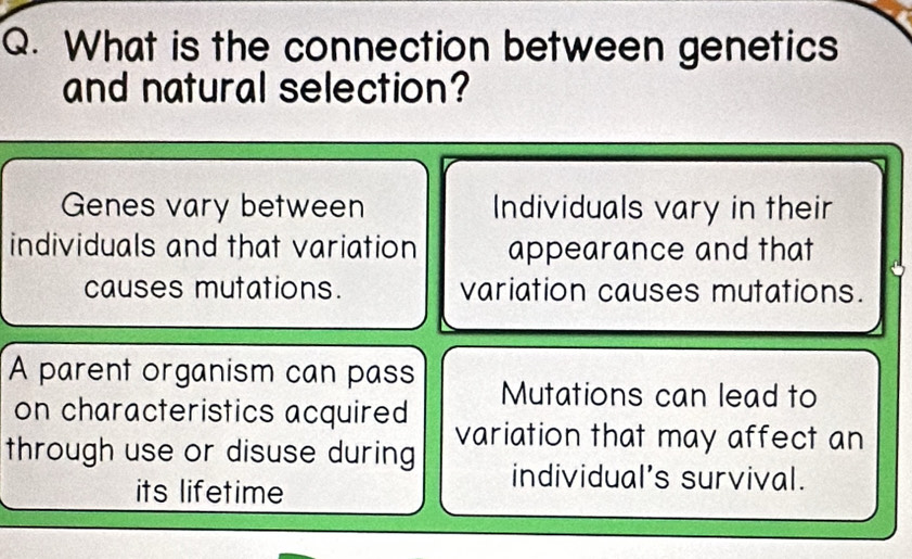 What is the connection between genetics
and natural selection?
Genes vary between Individuals vary in their
individuals and that variation appearance and that
causes mutations. variation causes mutations.
A parent organism can pass Mutations can lead to
on characteristics acquired
through use or disuse during variation that may affect an
its lifetime
individual’s survival.