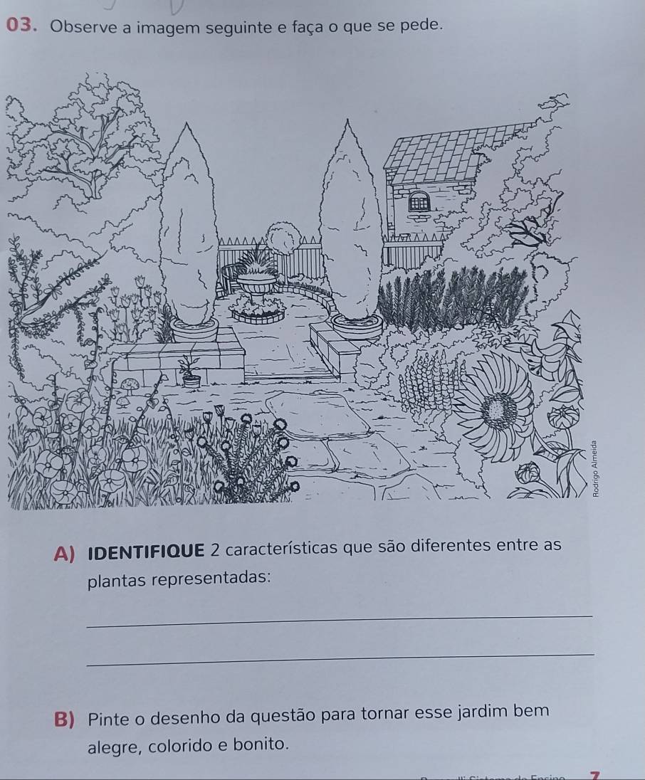 Observe a imagem seguinte e faça o que se pede. 
A) IDENTIFIQUE 2 características que são diferentes entre as 
plantas representadas: 
_ 
_ 
B) Pinte o desenho da questão para tornar esse jardim bem 
alegre, colorido e bonito.