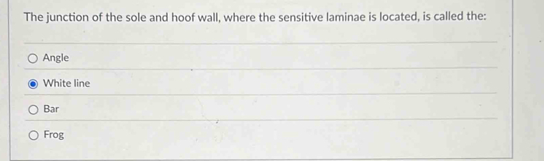 The junction of the sole and hoof wall, where the sensitive laminae is located, is called the:
Angle
White line
Bar
Frog