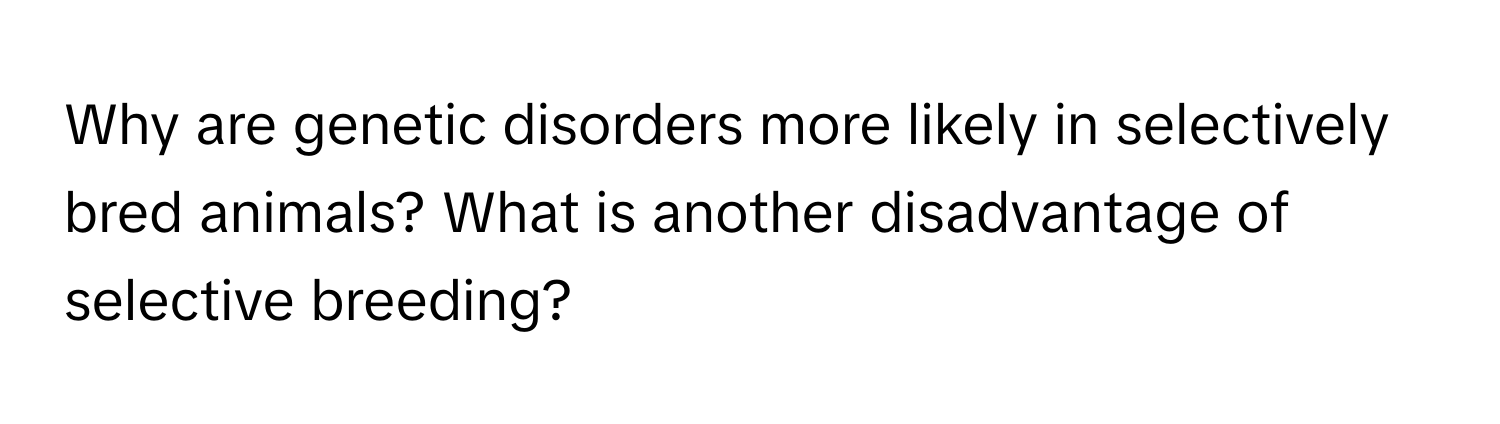 Why are genetic disorders more likely in selectively bred animals? What is another disadvantage of selective breeding?