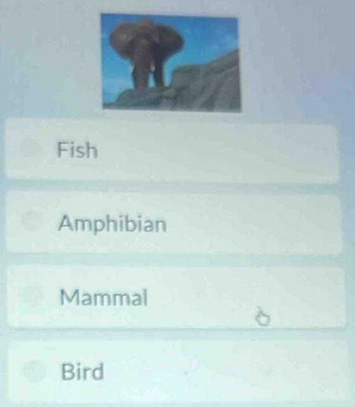 Fish
Amphibian
Mammal
Bird