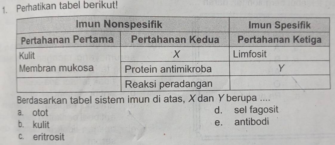 Perhatikan tabel berikut!
Berdasarkan tabel sistem imun di atas, X dan Yberupa....
a. otot d. sel fagosit
b. kulit e. antibodi
c. eritrosit