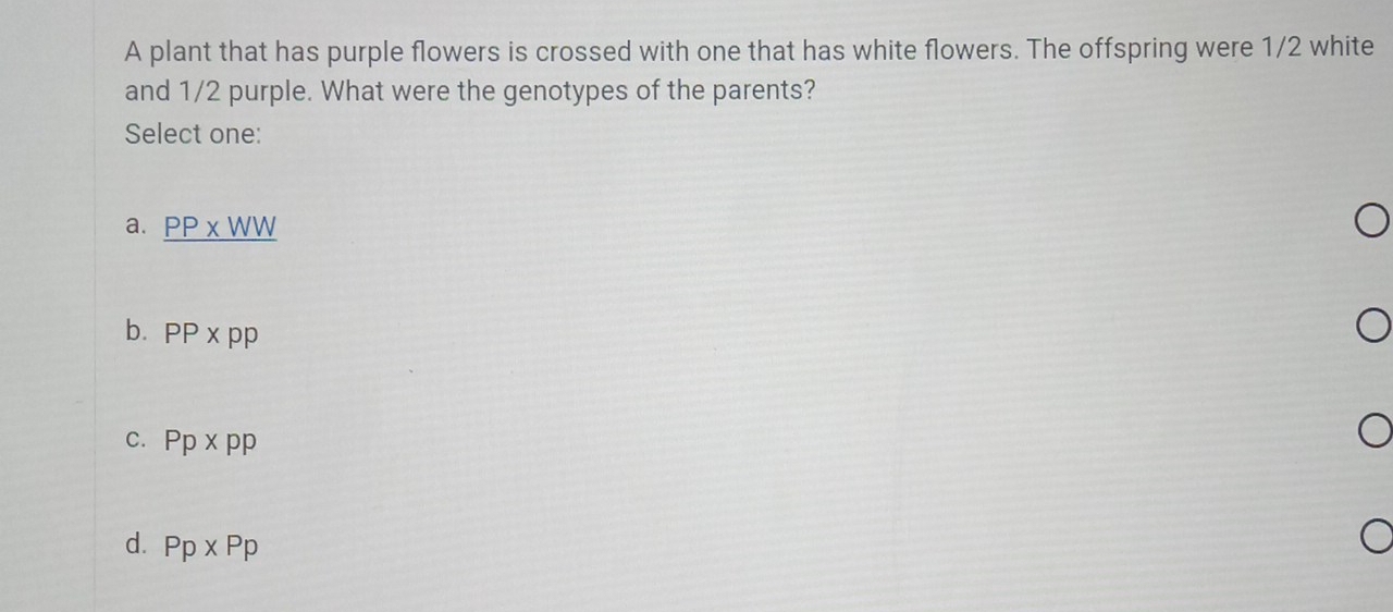 A plant that has purple flowers is crossed with one that has white flowers. The offspring were 1/2 white
and 1/2 purple. What were the genotypes of the parents?
Select one:
a. _ PP* WW
b. PP* pp
C. Pp* pp
d. Pp* Pp