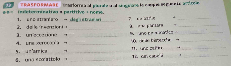 TRASFORMARE Trasforma al plurale o al singolare le coppie seguenti: articolo 
indeterminativo o partitivo + nome. 
1. uno straniero degli stranieri_ 7. un barile_ 
2. delle invenzioni _8. una pantera_ 
3. un’eccezione _9. uno pneumatico_ 
4. una xerocopia _10. delle bistecche_ 
5. un’amica _11. uno zaffiro_ 
6. uno scoiattolo _12. dei capelli_