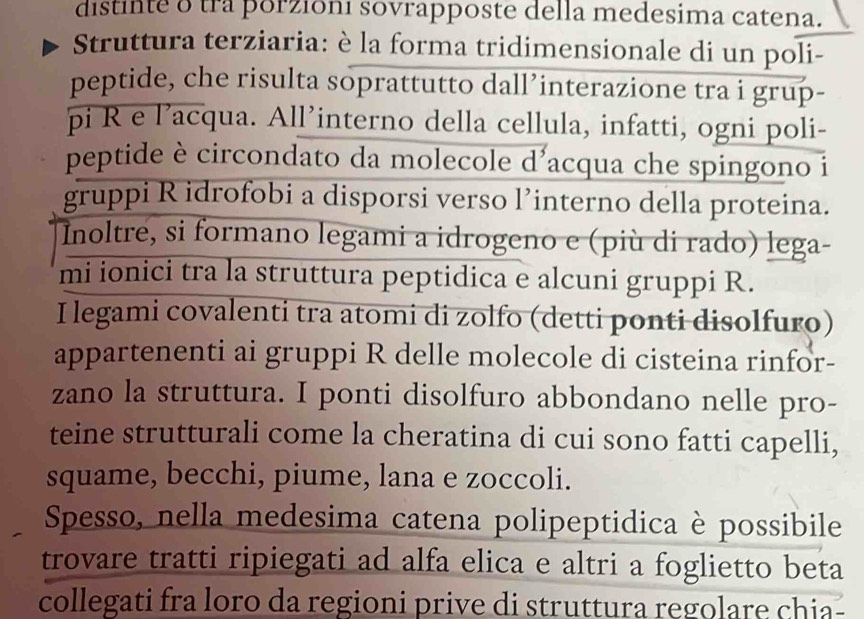 distinte o tra porzioni sovrapposte della medesima catena. 
Struttura terziaria: è la forma tridimensionale di un poli- 
peptide, che risulta soprattutto dall’interazione tra i grup- 
pi R e l’acqua. All’interno della cellula, infatti, ogni poli- 
peptide è circondato da molecole d'acqua che spingono i 
gruppi R idrofobi a disporsi verso l’interno della proteina. 
Inoltre, si formano legami a idrogeno e (più di rado) lega- 
mi ionici tra la struttura peptidica e alcuni gruppi R. 
I legami covalenti tra atomi di zolfo (detti ponti disolfuro) 
appartenenti ai gruppi R delle molecole di cisteina rinfor- 
zano la struttura. I ponti disolfuro abbondano nelle pro- 
teine strutturali come la cheratina di cui sono fatti capelli, 
squame, becchi, piume, lana e zoccoli. 
Spesso, nella medesima catena polipeptidica è possibile 
trovare tratti ripiegati ad alfa elica e altri a foglietto beta 
collegati fra loro da regioni prive di struttura regolare chia-