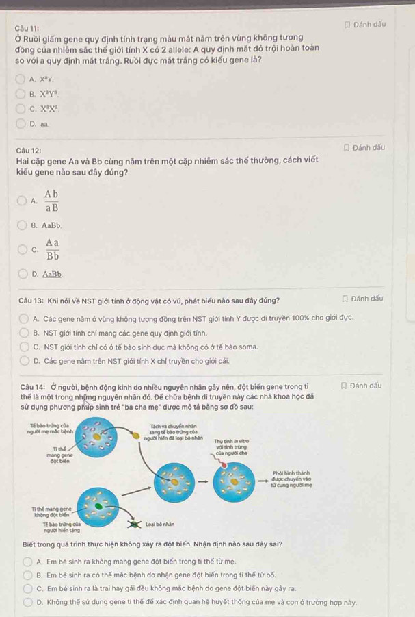 Dánh dấu
Ở Ruồi giấm gene quy định tính trạng màu mắt năm trên vùng không tương
đồng của nhiêm sắc thể giới tính X có 2 allele: A quy định mắt đỏ trội hoàn toàn
so với a quy định mắt trầng. Ruồi đực mắt trắng có kiểu gene là?
A. X^aY.
B. X^aY^a
C. X^aX^a.
D. aa.
Câu 12: Dánh dấu
Hai cặp gene Aa và Bb cùng năm trên một cặp nhiêm sắc thế thường, cách viết
kiểu gene nào sau đây đúng?
A.  Ab/aB 
B. AaBb.
C.  Aa/Bb 
D. _ AaBb.
Câu 13: Khi nói về NST giới tính ở động vật có vú, phát biểu nào sau đây đúng? Đánh dấu
A. Các gene năm ở vùng không tương đồng trên NST giới tính Y được di truyền 100% cho giới đực.
B. NST giới tính chỉ mang các gene quy định giới tính
C. NST giới tính chỉ có ở tế bào sinh dục mà không có ở tế bào soma.
D. Các gene năm trên NST giới tính X chỉ truyền cho giới cái.
Câu 14: Ở người, bệnh động kinh do nhiều nguyên nhân gây nên, đột biến gene trong ti * Đánh dấu
thể là một trong những nguyên nhân đó. Đế chữa bệnh di truyền này các nhà khoa học đã
sử dụng phương pháp sinh trẻ "ba cha mẹ" được mô tả bằng sơ đồ sau:
Biết trong quá trình thực hiện không xảy ra đột biến. Nhận định nào sau đây sai?
A. Em bé sinh ra không mang gene đột biến trong ti thế từ mẹ.
B. Em bé sinh ra có thể mắc bệnh do nhận gene đột biến trong ti thể từ bố.
C. Em bé sinh ra là trai hay gái đều không mắc bệnh do gene đột biến này gây ra.
D. Không thể sử dụng gene ti thế để xác định quan hệ huyết thống của mẹ và con ở trường hợp này.