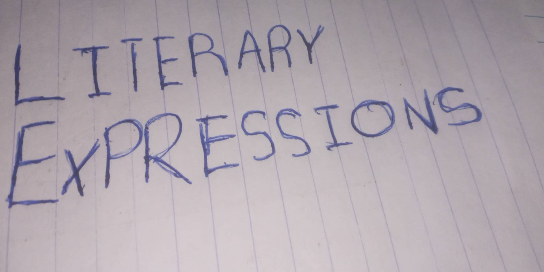 LITERARY 
EXPRESSIONS