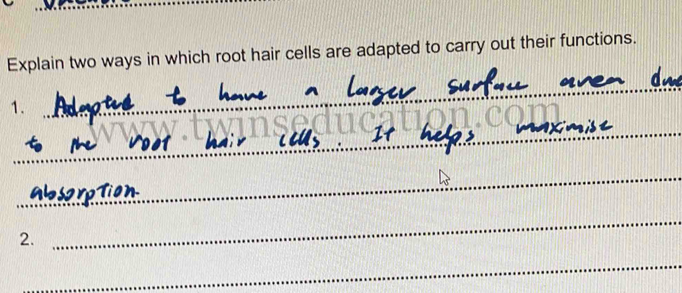 Explain two ways in which root hair cells are adapted to carry out their functions. 
_ 
1._ 
_ 
_ 
2. 
_ 
_