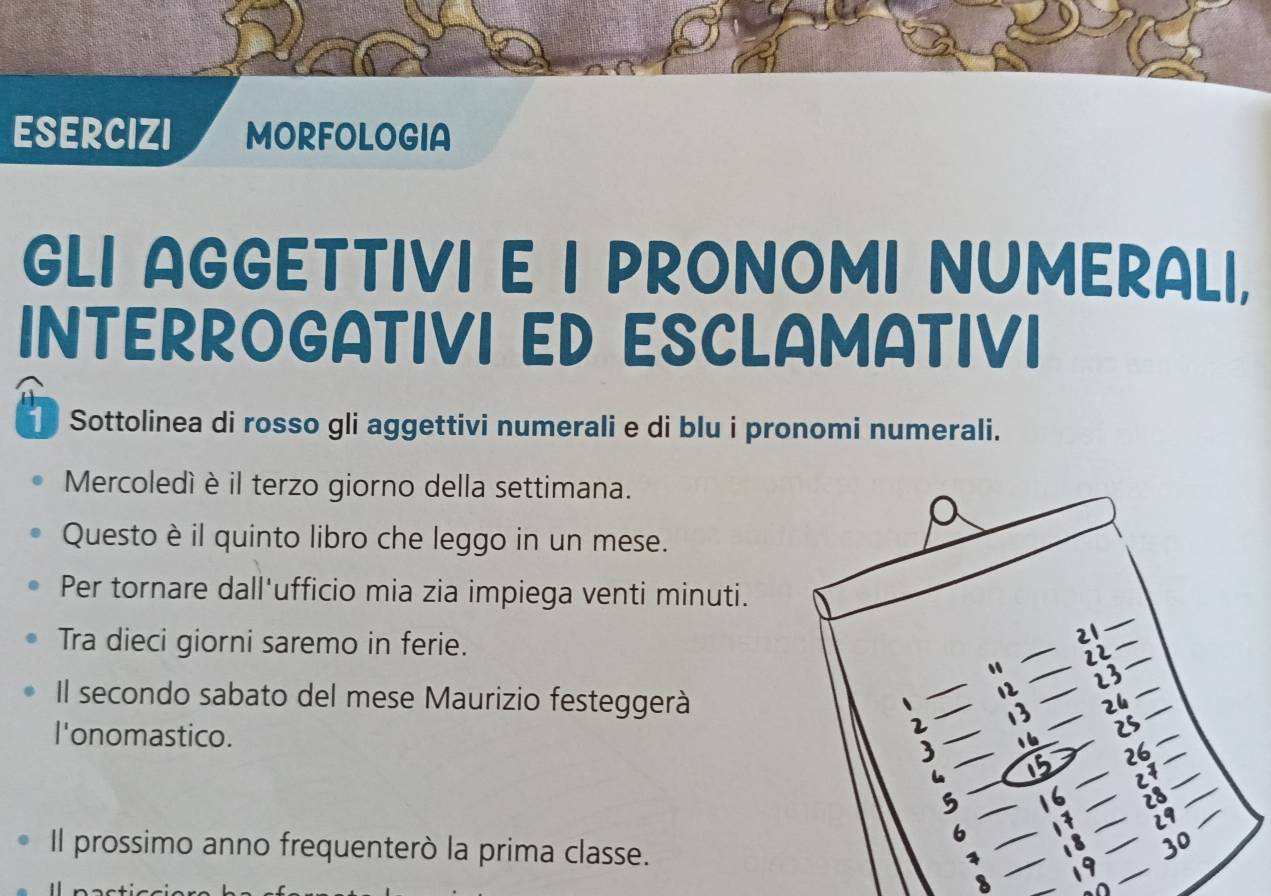 ESERCIZI MORFOLOGIA 
GLI AGGETTIVI E I PRONOMI NUMERALI, 
INTERROGATIVI ED ESCLAMATIVI 
Sottolinea di rosso gli aggettivi numerali e di blu i pronomi numerali. 
Mercoledí è il terzo giorno della settimana. 
Questo è il quinto libro che leggo in un mese. 
Per tornare dall'ufficio mia zia impiega venti minuti. 
Tra dieci giorni saremo in ferie. _ 
Il secondo sabato del mese Maurizio festeggerà 
l'onomastico. 
Il prossimo anno frequenterò la prima classe. 
_ 
_