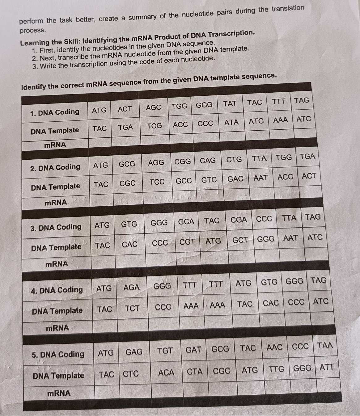 perform the task better, create a summary of the nucleotide pairs during the translation 
process. 
Learning the Skill: Identifying the mRNA Product of DNA Transcription. 
1. First, identify the nucleotides in the given DNA sequence. 
2. Next, transcribe the mRNA nucleotide from the given DNA template. 
3. Write the transcription using the code of each nucleotide.