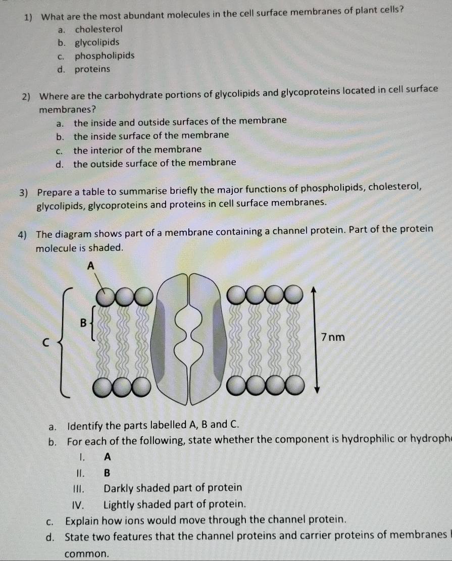 What are the most abundant molecules in the cell surface membranes of plant cells?
a. cholesterol
b. glycolipids
c. phospholipids
d. proteins
2) Where are the carbohydrate portions of glycolipids and glycoproteins located in cell surface
membranes?
a. the inside and outside surfaces of the membrane
b. the inside surface of the membrane
c. the interior of the membrane
d. the outside surface of the membrane
3) Prepare a table to summarise briefly the major functions of phospholipids, cholesterol,
glycolipids, glycoproteins and proteins in cell surface membranes.
4) The diagram shows part of a membrane containing a channel protein. Part of the protein
molecule is shaded.
a. Identify the parts labelled A, B and C.
b. For each of the following, state whether the component is hydrophilic or hydrophe
1. A
Ⅲ. B
III. Darkly shaded part of protein
IV. Lightly shaded part of protein.
c. Explain how ions would move through the channel protein.
d. State two features that the channel proteins and carrier proteins of membranes
common.