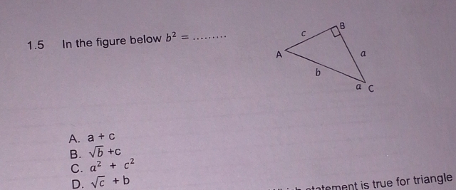 1.5 In the figure below b^2= _
A. a+c
B. sqrt(b)+c
C. a^2+c^2
D. sqrt(c)+b
tement is true for triangle