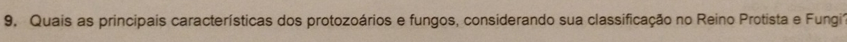 Quais as principais características dos protozoários e fungos, considerando sua classificação no Reino Protista e Fungi