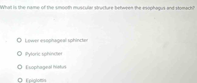 What is the name of the smooth muscular structure between the esophagus and stomach?
Lower esophageal sphincter
Pyloric sphincter
Esophageal hiatus
Epiglottis