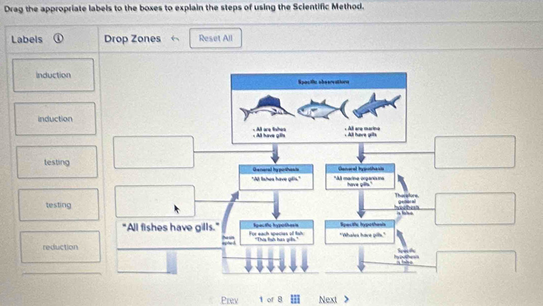Solved: Drag the appropriate labels to the boxes to explain the steps ...