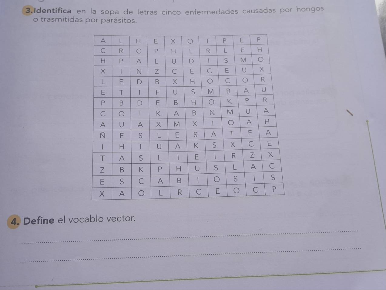 Resuelto:Identifica en la sopa de letras cinco enfermedades causadas ...