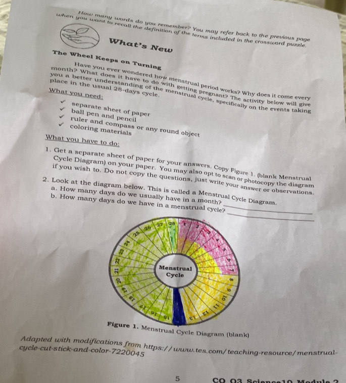 How many words do you remember? You may refer back to the previous page 
when you want to recall the definition of the terms included in the crossword puzzle 
What’s New 
The Wheel Keeps on Turning 
Have you ever wondered how menstrual period works? Why does it come every
month? What does it have to do with getting pregnant? The activity below will give 
place in the usual 28-days cycle. 
What you need: 
you a better understanding of the menstrual cycle, specifically on the events taking 
separate sheet of paper 
ball pen and pencil 
ruler and compass or any round object 
coloring materials 
What you have to do: 
1. Get a separate sheet of paper for your answers. Copy Figure 1. (blank Menstrual 
Cycle Diagram) on your paper. You may also opt to scan or photocopy the diagram 
if you wish to. Do not copy the questions, just write your answer or observations. 
2. Look at the diagram below. This is called a Menstrual Cycle Diagram. 
a. How many days do we usually have in a month? 
_ 
b. How many days do we have in a menstrual cycle? 
Figure 1. Menstrual Cycle Diagram (blank) 
Adapted with modifications from https://www.tes.com/teaching-resource/menstrual- 
cycle-cut-stick-and-color- 7220045
5