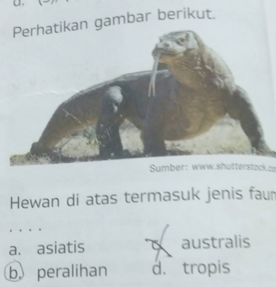 gambar berikut.
Hewan di atas termasuk jenis faum
a. asiatis australis
b. peralihan d. tropis