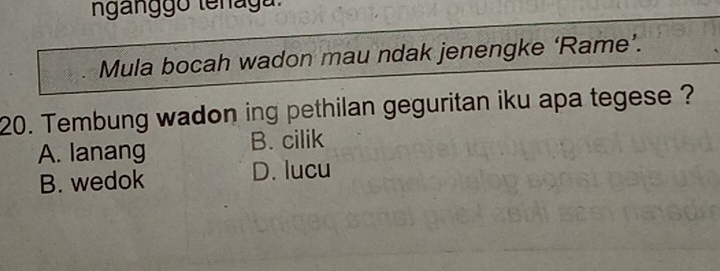 nganggo tenaga
Mula bocah wadon mau ndak jenengke ‘Rame’.
20. Tembung wadon ing pethilan geguritan iku apa tegese ?
A. lanang B. cilik
B. wedok D. lucu