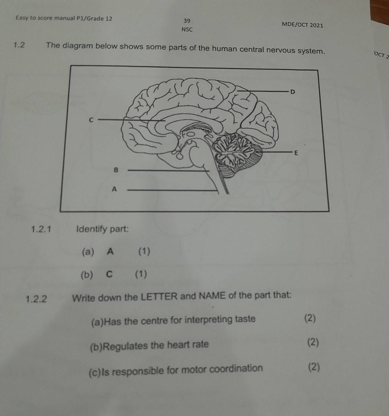 Easy to score manual P1/Grade 12 MDE/OCT 2021 
NSC 
1.2 The diagram below shows some parts of the human central nervous system. 
OCT 2 
1.2.1 Identify part: 
(a) A (1) 
(b) C (1) 
1.2.2 Write down the LETTER and NAME of the part that: 
(a)Has the centre for interpreting taste (2) 
(b)Regulates the heart rate 
(2) 
(c)Is responsible for motor coordination 
(2)