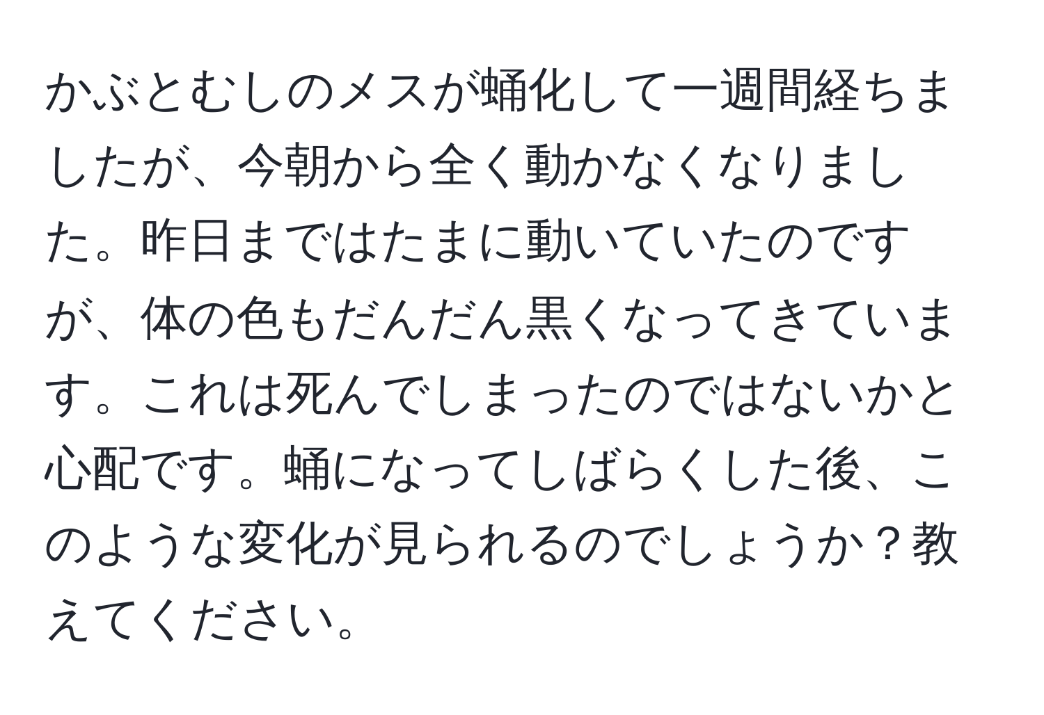 かぶとむしのメスが蛹化して一週間経ちましたが、今朝から全く動かなくなりました。昨日まではたまに動いていたのですが、体の色もだんだん黒くなってきています。これは死んでしまったのではないかと心配です。蛹になってしばらくした後、このような変化が見られるのでしょうか？教えてください。